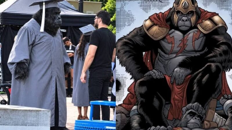 Vazou! Série do Gorila Grodd gera polêmica e levanta dúvidas sobre o futuro do DCU