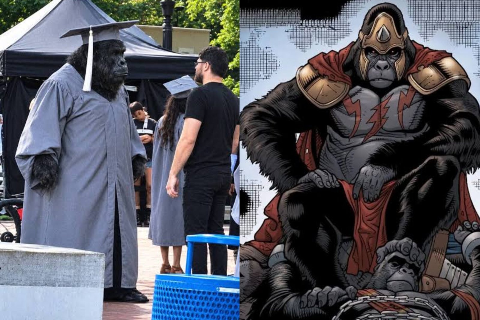 Vazou! Série do Gorila Grodd gera polêmica e levanta dúvidas sobre o futuro do DCU
